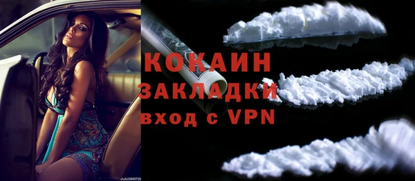 прущая мука Вяземский