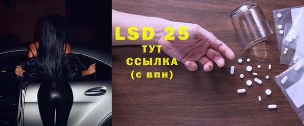 стафф Вязьма