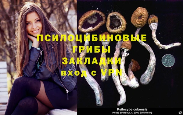 тгк Горно-Алтайск