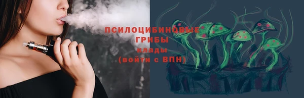 прущая мука Вяземский