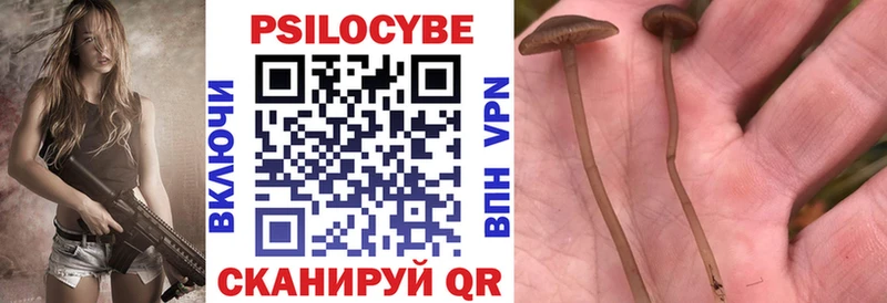 Галлюциногенные грибы Magic Shrooms  Купить где  Бабушкин 